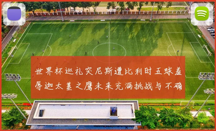 世界杯巡礼突尼斯遭比利时五球羞辱迦太基之鹰未来充满挑战与不确定性
