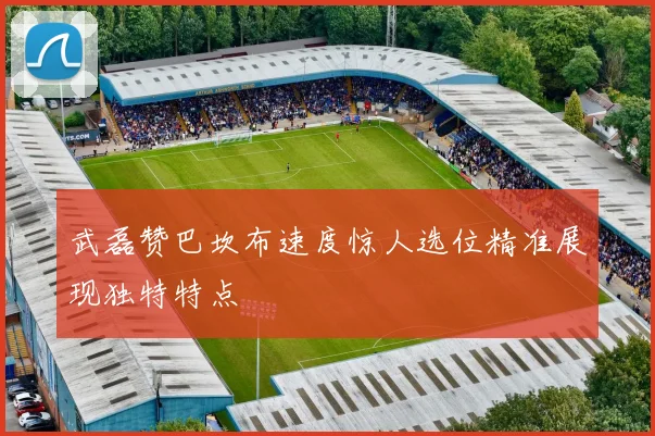 武磊赞巴坎布速度惊人选位精准展现独特特点